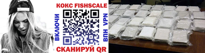 COCAIN FishScale  Купить закладки  Бородино 