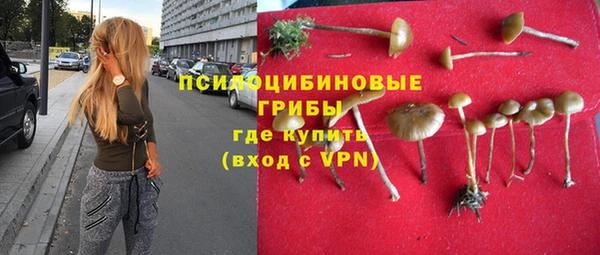 прущая мука Баксан