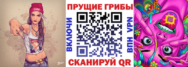 Псилоцибиновые грибы прущие грибы  Купить где  Бородино 